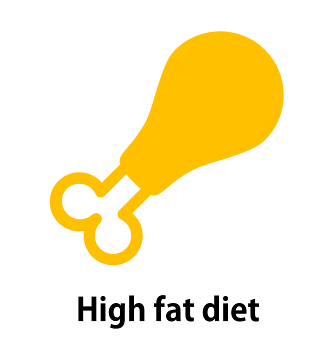 High fat diet